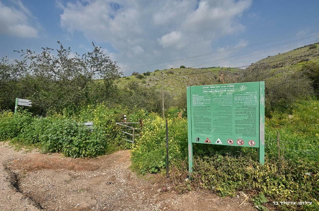 利维尼姆穆尔基尼烈山林小屋 外观 照片