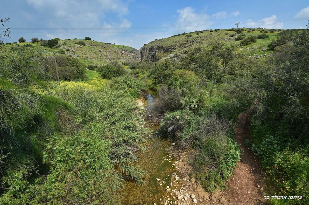 利维尼姆穆尔基尼烈山林小屋 外观 照片